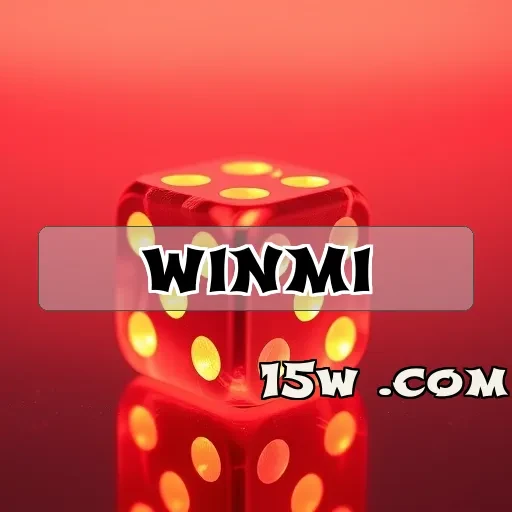 winmi Segurança